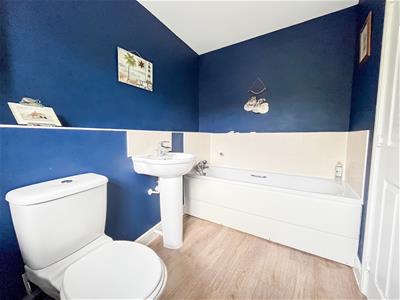 Picture 25